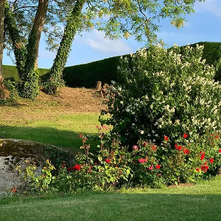 Manoir Les Touches - * Cosse