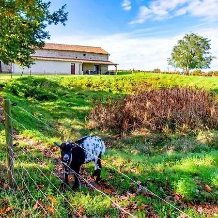 Manoir Les Touches - Doué-la-Fontaine