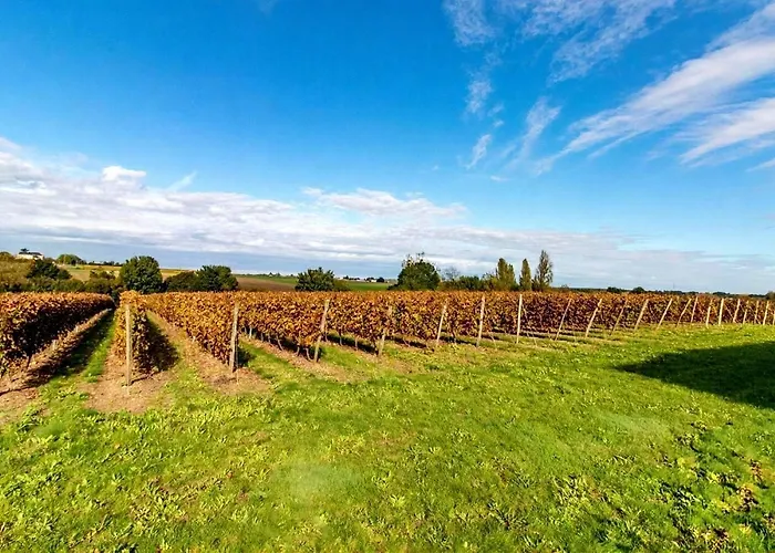 Manoir Les Touches - *