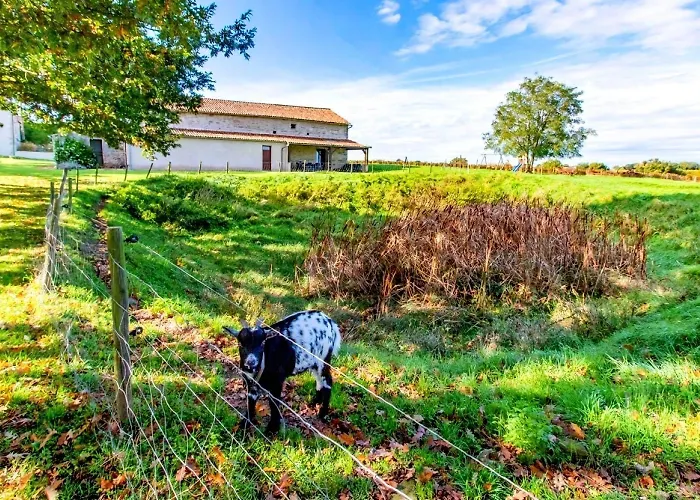 Manoir Les Touches - 杜埃拉方丹